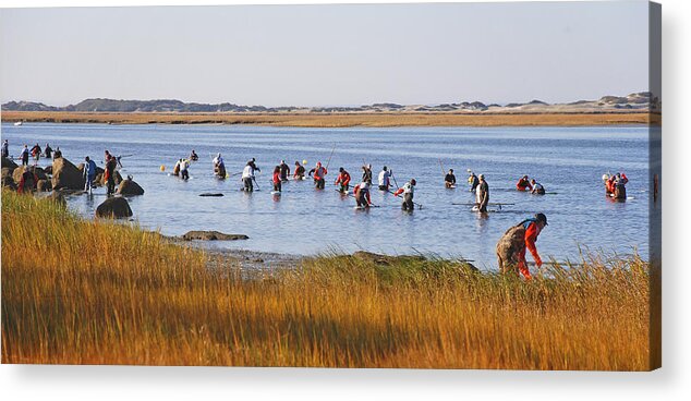 Barnstable Acrylic Print featuring the photograph Fall Shellfishing for Barnstable Oysters by Charles Harden