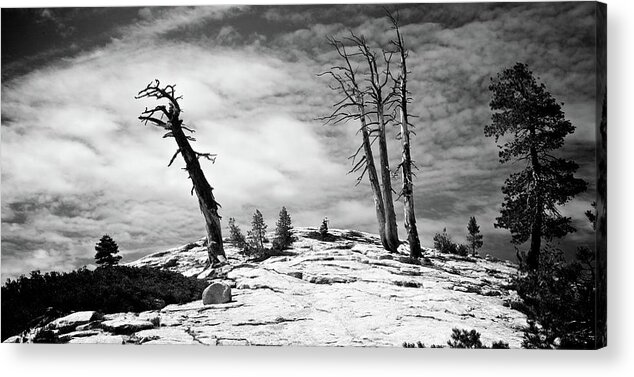 Hiking Acrylic Print featuring the photograph Hiking the Rim, Yosemite by Doug Rogahn Fine Art Photography