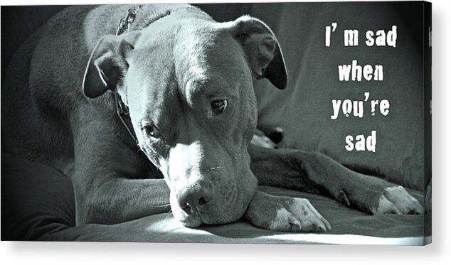 Sad Acrylic Print featuring the photograph I'm sad when you're sad by Gwyn Newcombe