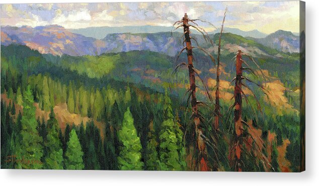 Wilderness Acrylic Print featuring the painting Ladycamp by Steve Henderson