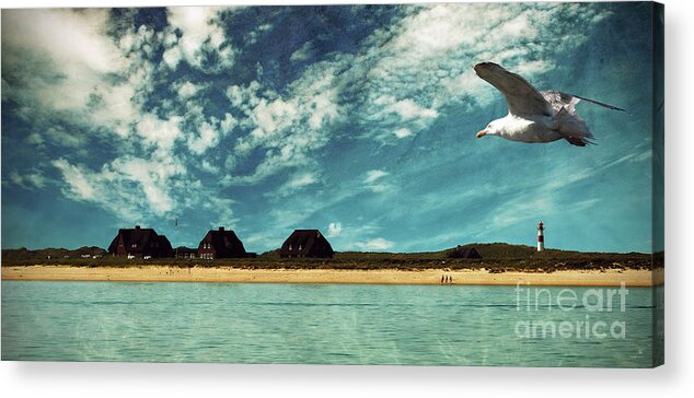 Seagull Acrylic Print featuring the photograph Lighthouse Scenery At List by Hannes Cmarits