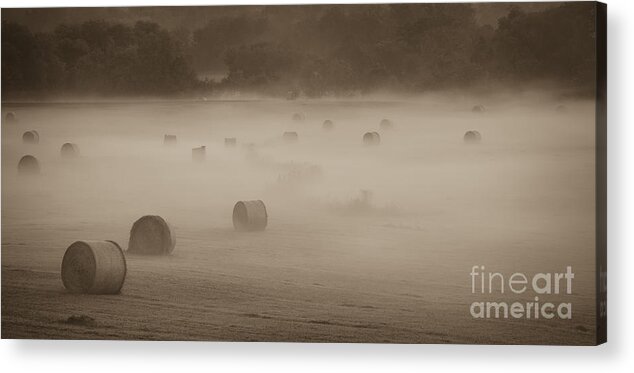 Misty Hay Bales Acrylic Print featuring the photograph Misty Hay Bales by Tamara Becker