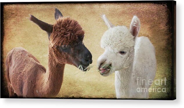 Sharing A Meal Acrylic Print featuring the digital art Sharing a Meal by Victoria Harrington