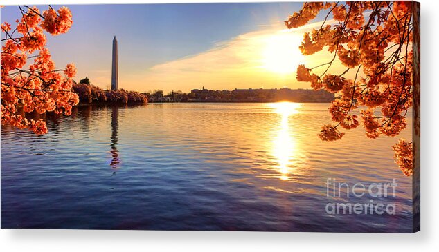 Tidal Acrylic Print featuring the photograph Sunrise on the Tidal Basin by Olivier Le Queinec