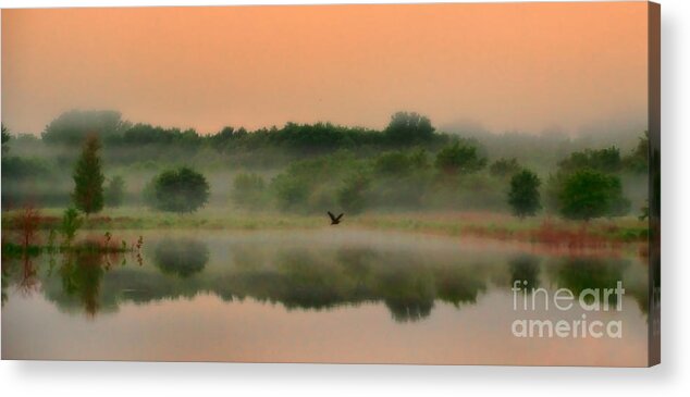 Fog Acrylic Print featuring the photograph The Fog of Summer by Elizabeth Winter