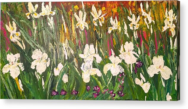 Iris Acrylic Print featuring the painting White Dutch Over White Bearded by Julene Franki