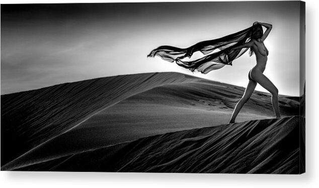 Panorama Acrylic Print featuring the photograph Dark Beauty In The Storm by Peter Mller Photography