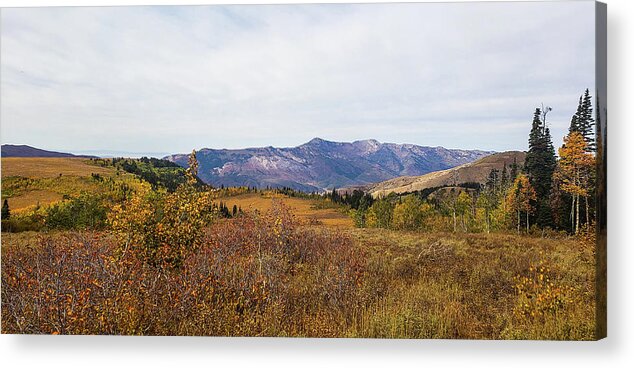 October 2018 Acrylic Print featuring the photograph Fall Vistas by Synda Whipple