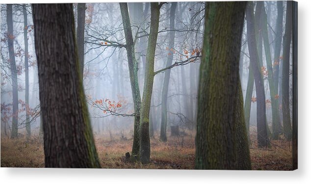 Haze Acrylic Print featuring the photograph Lovers In The Fog by Tomas Frolec