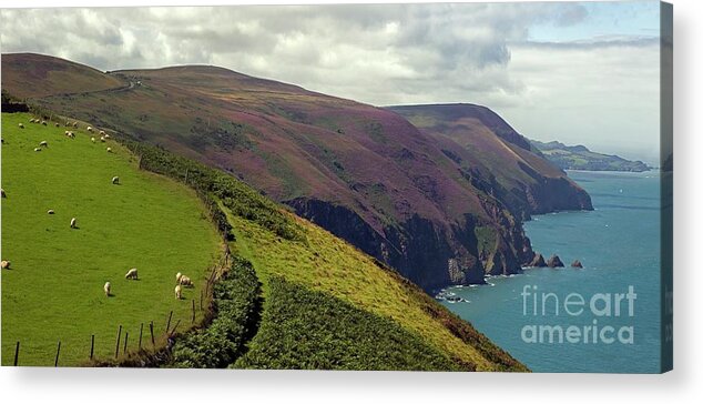 Landscape Acrylic Print featuring the photograph North Devon Near Heddon's Mouth by Dr Keith Wheeler/science Photo Library