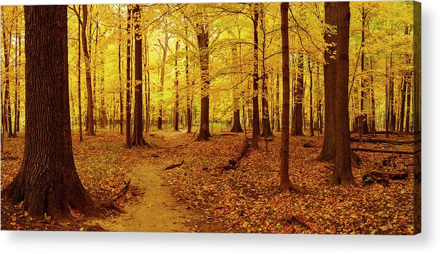 Thature Woods Acrylic Print featuring the photograph Thatcherama by Todd Bannor