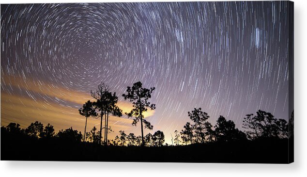 St Jamesstartreails Acrylic Print featuring the photograph Pepperbush Stars by Nick Noble