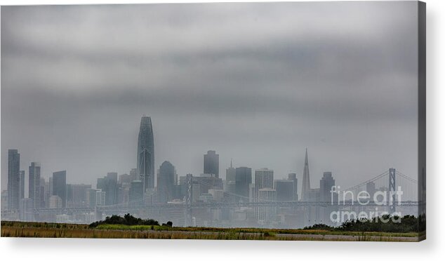 San Francisco Acrylic Print featuring the photograph City in the Clouds by Erin Marie Davis