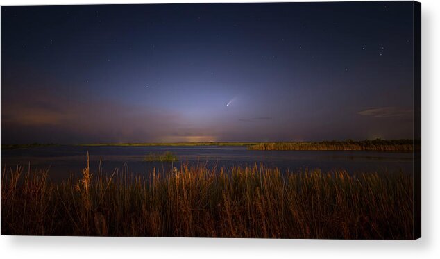 Comet Acrylic Print featuring the photograph Comet in the Everglades by Mark Andrew Thomas
