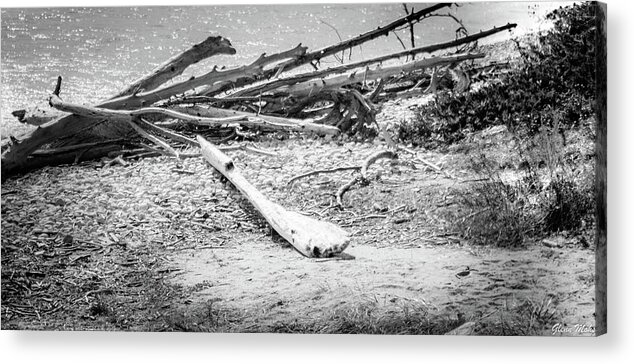 Driftwood Acrylic Print featuring the photograph Driftwood by GLENN Mohs