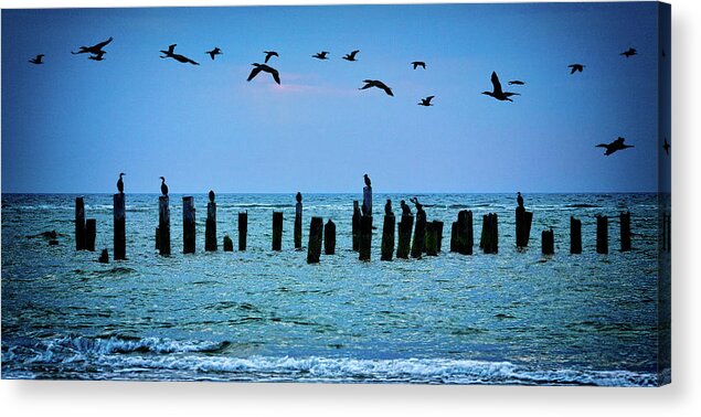 North Carolina Acrylic Print featuring the photograph First Flight at First Light by Dan Carmichael