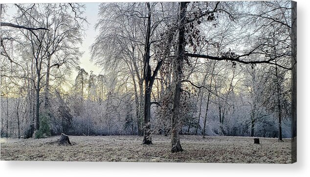 Historic Acrylic Print featuring the photograph Icy Morning at Silverbrook Gateway by GeeLeesa