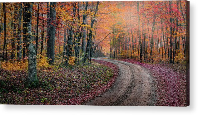 Arkansas Acrylic Print featuring the photograph Misty Lane by David Downs
