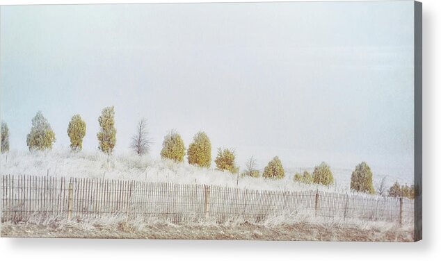 Infrared Acrylic Print featuring the photograph Morning Walk by Jim Cook