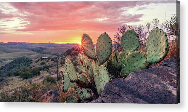 Prickly Pear Acrylic Print featuring the photograph Overlook by Slow Fuse Photography