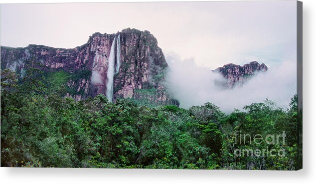 Dave Welling Acrylic Print featuring the photograph Panorama Angel Falls Canaima Np Venezuela by Dave Welling