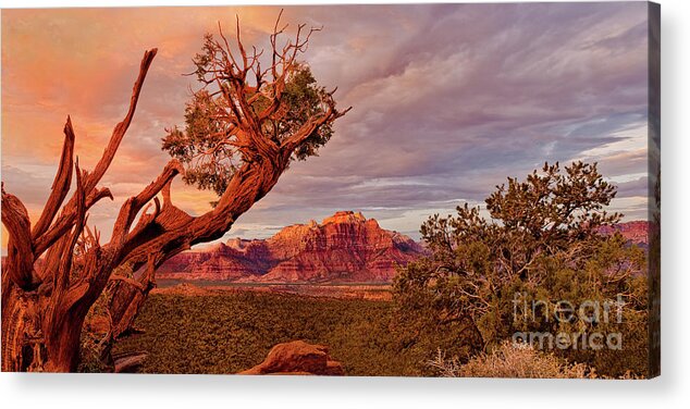 North America Acrylic Print featuring the photograph Panorama Storm Back of Zion formations Utah by Dave Welling
