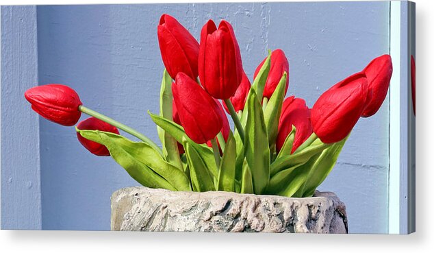 Red Tulips Acrylic Print featuring the photograph Red Tulips by Lisa Cuipa