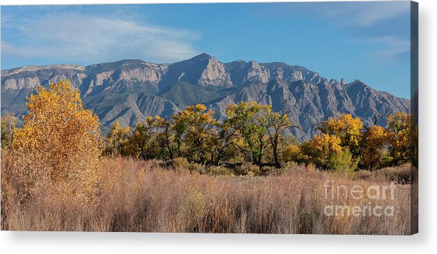 Landscape Acrylic Print featuring the photograph Sandia Afternoon by Seth Betterly