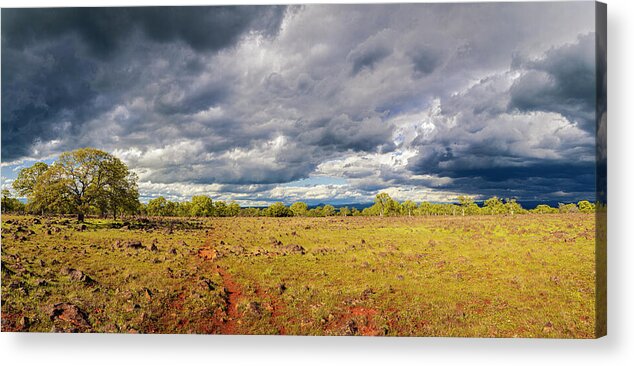 Hiking Acrylic Print featuring the photograph Tehama Moods Panorama by Mike Lee