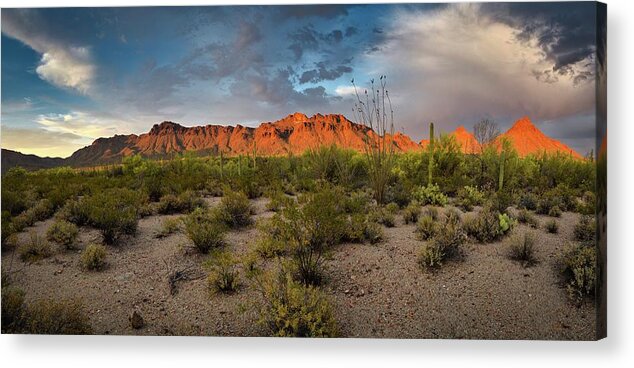 Tucson Acrylic Print featuring the photograph Tucson Mountains Panorama, Arizona by Chance Kafka
