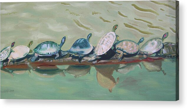 Turtles Acrylic Print featuring the painting Turtles by Jill Ciccone Pike