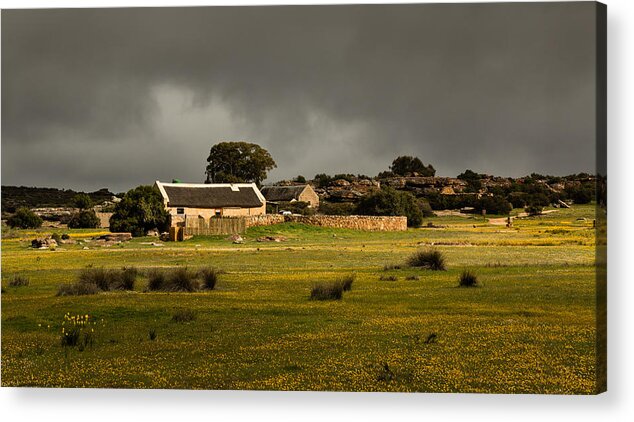 Landscape Acrylic Print featuring the photograph Spring breaking through by Claudio Maioli