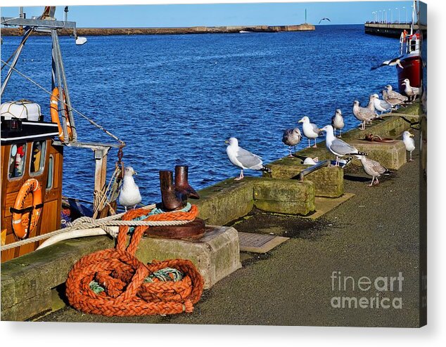 Amble Acrylic Print featuring the photograph Amble Quayside by Les Bell