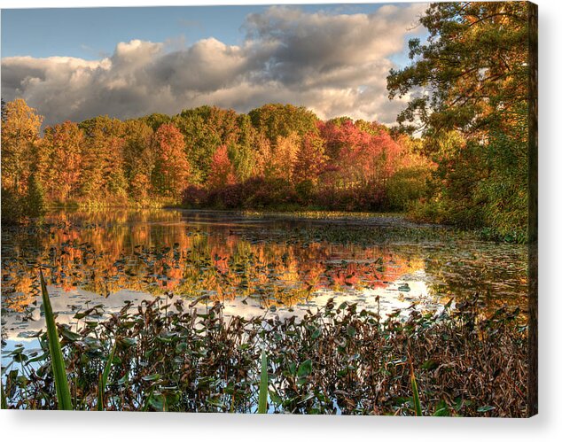 2x3 Acrylic Print featuring the photograph Autumn Reflection on Foster Pond by At Lands End Photography