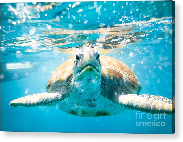 Barbados Acrylic Print featuring the photograph I sea you by Matteo Colombo
