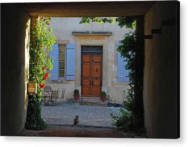 Ankya Klay Acrylic Print featuring the photograph I'm the Cat of the Castle by Ankya Klay