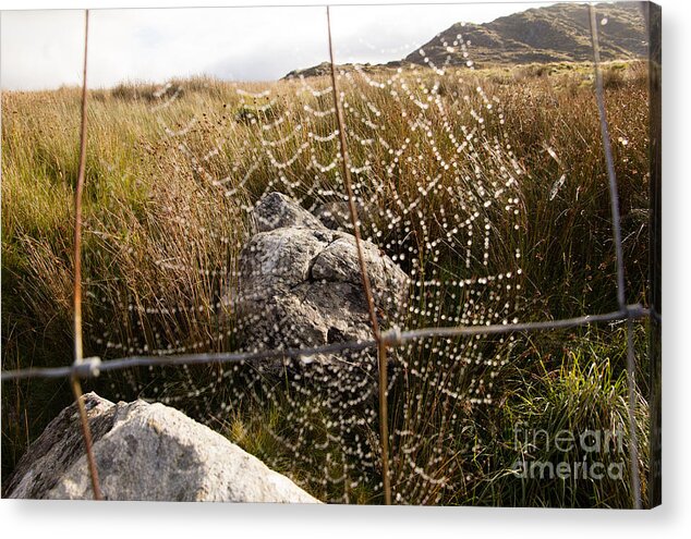 Europe Acrylic Print featuring the photograph Rock in a web by Agnes Caruso