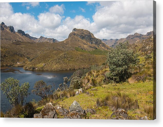 Nature Acrylic Print featuring the photograph Cajas Park and the Andes by Robert McKinstry