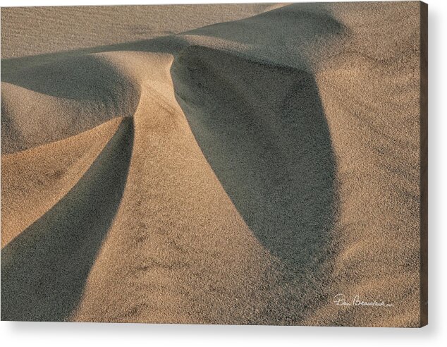 Sand Acrylic Print featuring the photograph Sands of Jockey's Ridge 1389 by Dan Beauvais