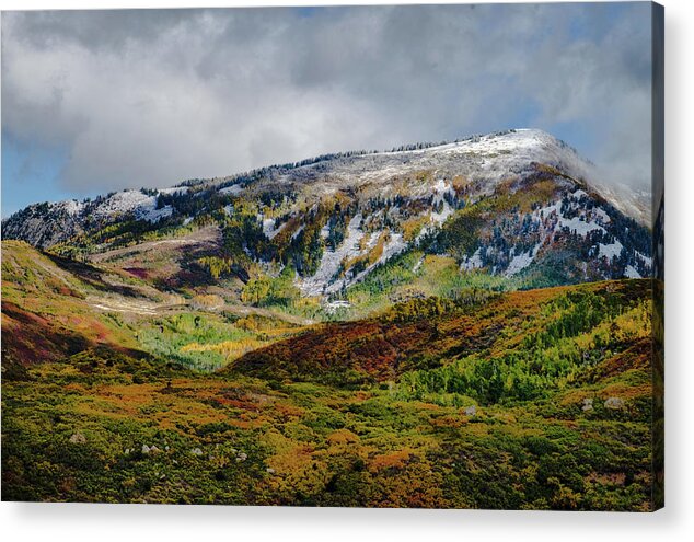 Aspens Acrylic Print featuring the photograph Fall Snow Storm II by Johnny Boyd
