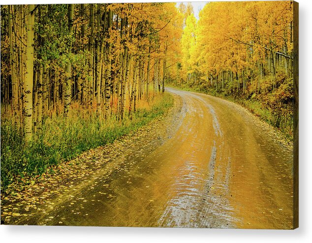 Aspens Acrylic Print featuring the photograph Road To Oz by Johnny Boyd