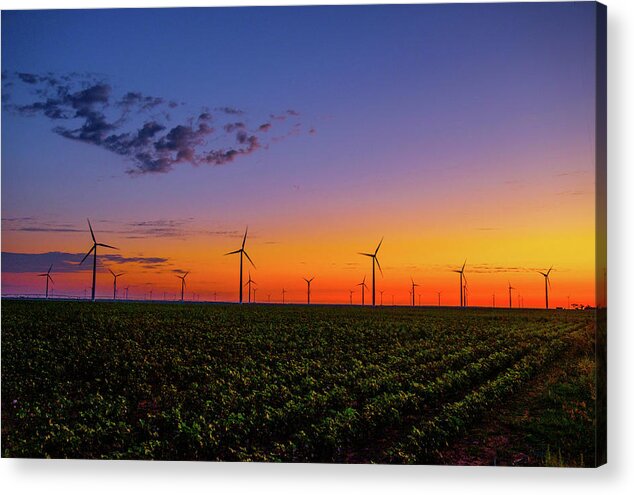 Sunrise Acrylic Print featuring the photograph Wind Field Sunrise by Johnny Boyd