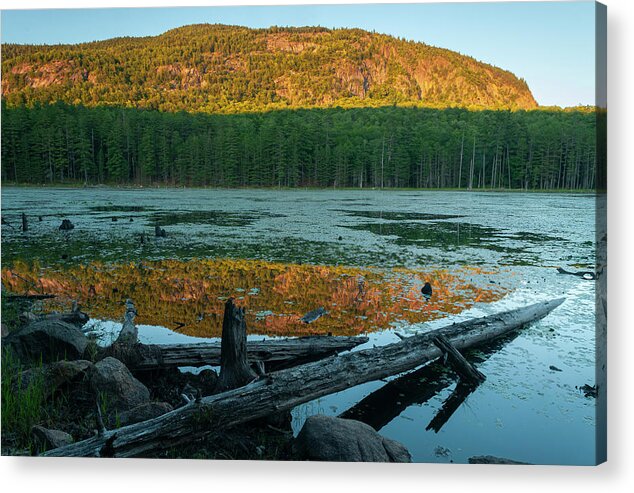 Adirondack Forest Preserve Acrylic Print featuring the photograph A Time For Reflection by Bob Grabowski