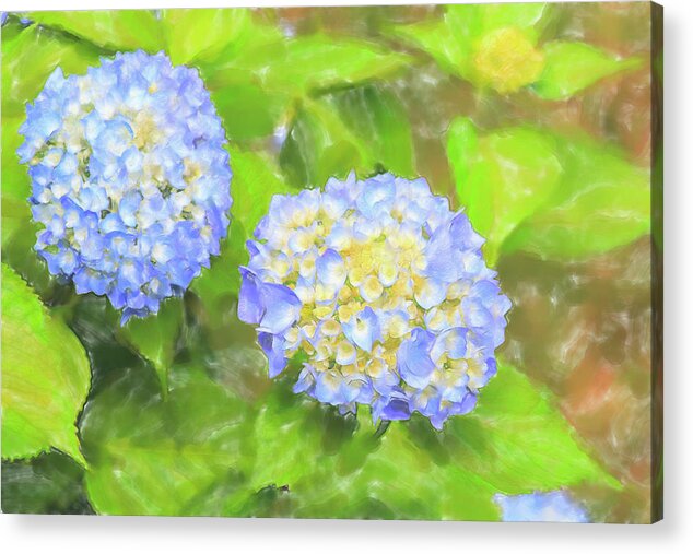 Colors Acrylic Print featuring the digital art Blue Hydrangea Deux Watercolor by Tanya Owens