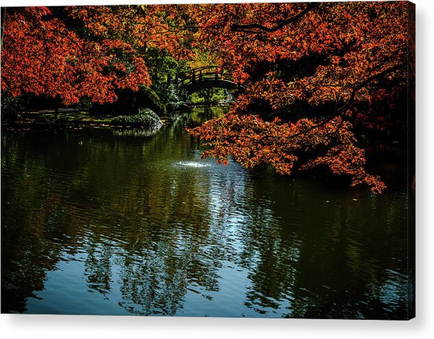 Golden Maple Leaf Acrylic Print featuring the photograph Bridge To Pagoda Pond by Johnny Boyd