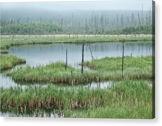 Kamloops Photographer Acrylic Print featuring the photograph Northern Wetland by Linda McRae