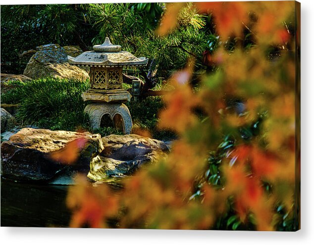 Red Maple Leaf Acrylic Print featuring the photograph Pagoda Maple by Johnny Boyd