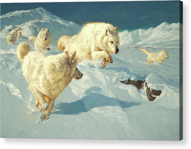 Arctic Wolf Painting Acrylic Print featuring the painting The Marauders by Greg Beecham