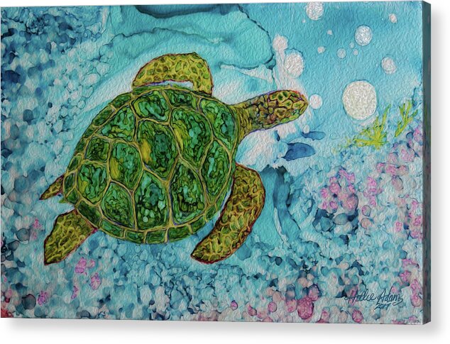Turtle Acrylic Print featuring the photograph Happy Turtle by Hollie Adams