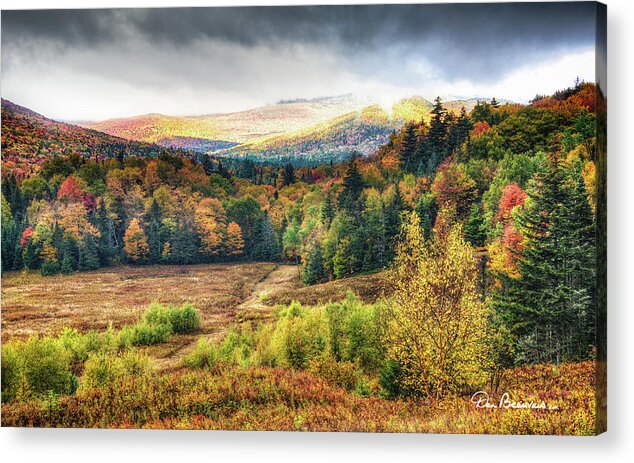 Fall Acrylic Print featuring the photograph Autumn Meadow and Mountains 7337 by Dan Beauvais